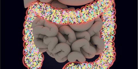 microbiome gut health