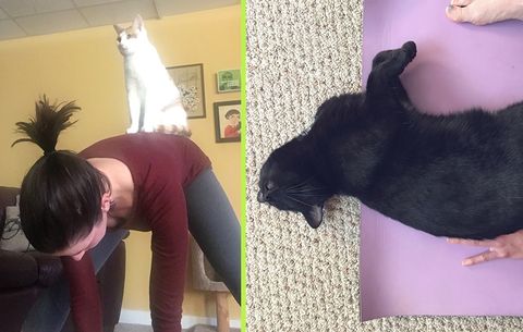 I Did Yoga Every Morning For 2 Weeks