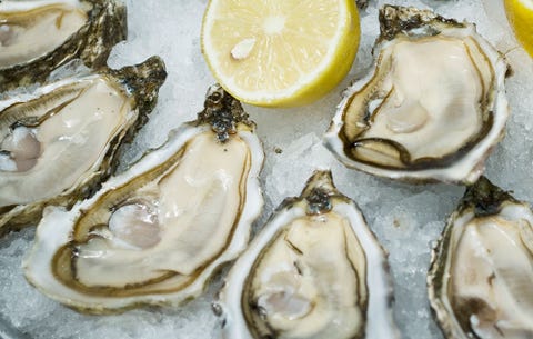 oysters