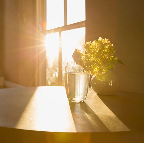 image follow sun
