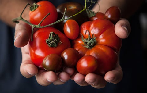 tomatoes