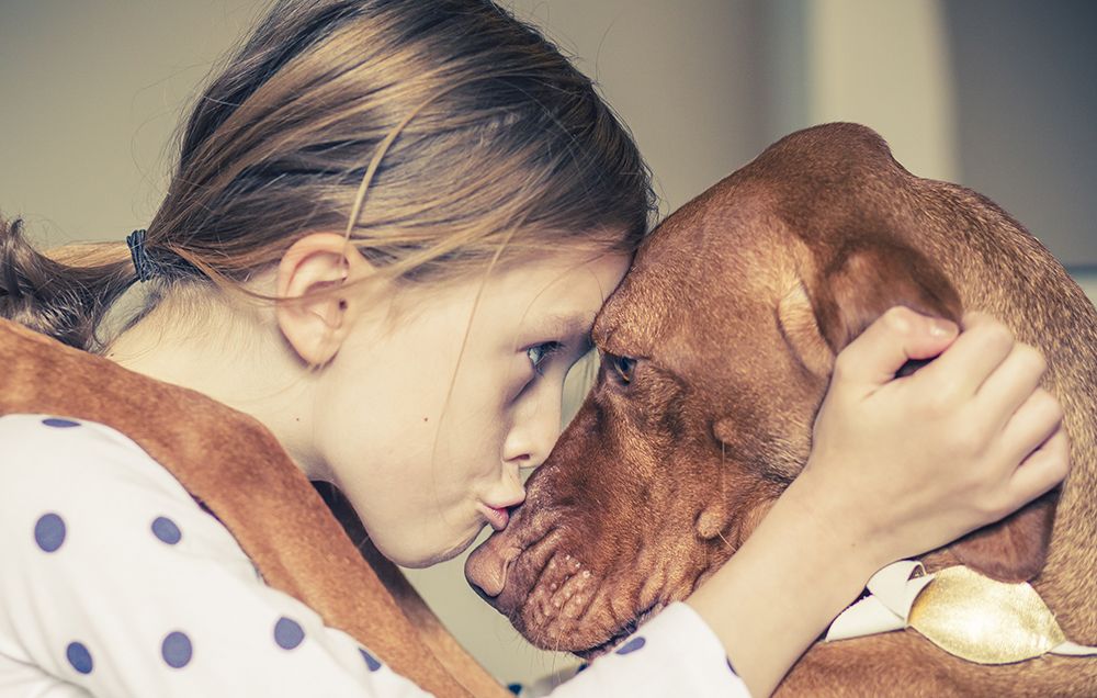 what your dog breed says about you