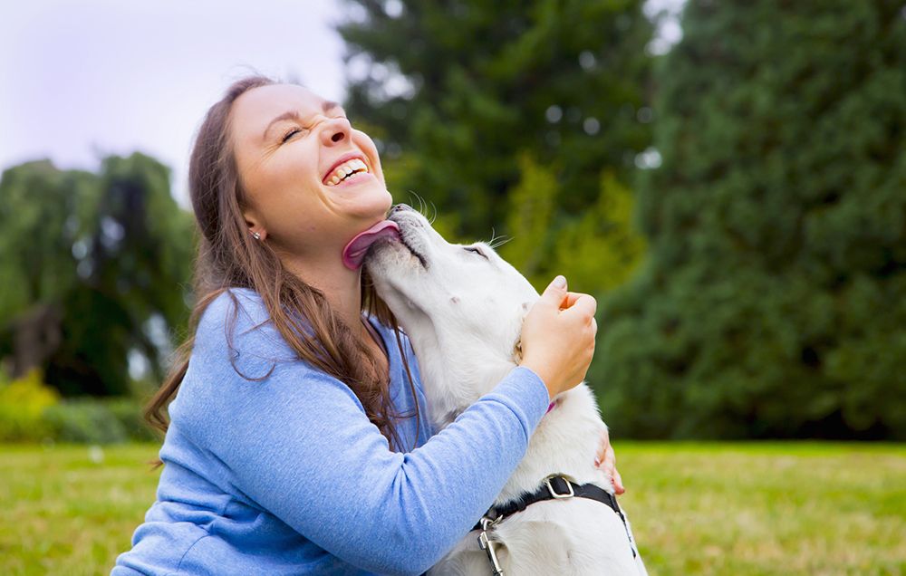 Why does my dog lick my face and neck