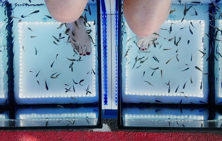 Suck toe nibble bite, nud women in toilet