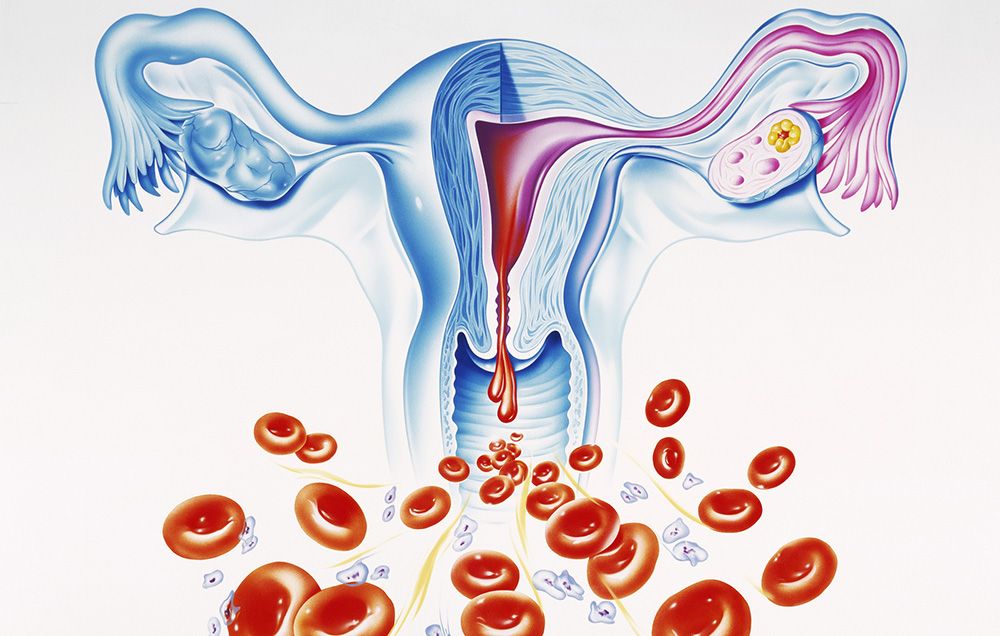 endometrium lining discharge