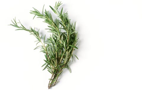 rosemary