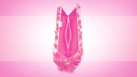 Pink, Text, Font, Magenta, Fashion accessory, Feather, 