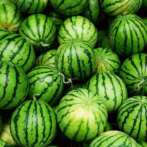 watermelon watermelon