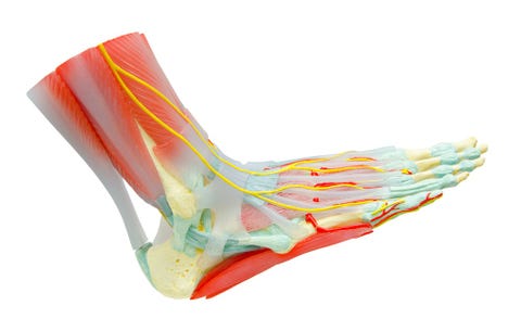 Pain with flexed foot Pain with flexed foot, blood clots, symptoms of a blood clot