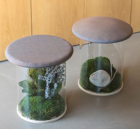 greenarea  wild stool