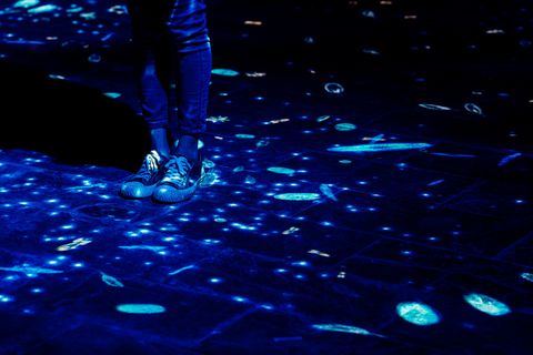 屏東海生館打造「微光漂流」沉浸式投影互動體驗！以微觀視角潛入深海，一探浮游生物的神秘面紗