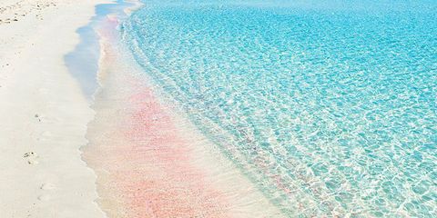 世界で最も印象的なピンク色の砂浜 Elle Decor エル デコ