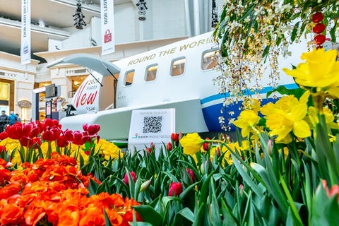 台北101國際機場登機中 絕美室內花園 Pantone活力粉紅小象 等打卡美點拍不完