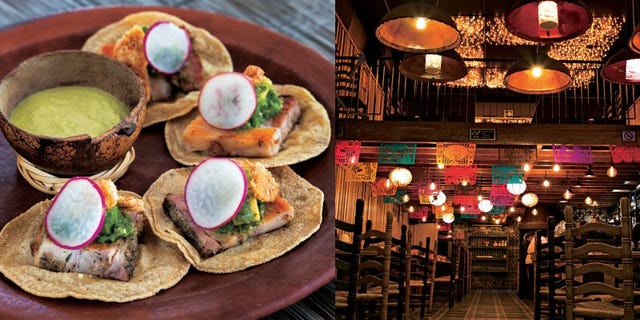 メキシコシティとその近郊にある フーディーの注目店 Elle Gourmet エル グルメ