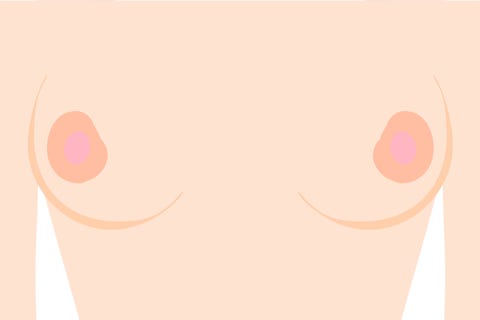 types of nipples saucers types of nipples saucers