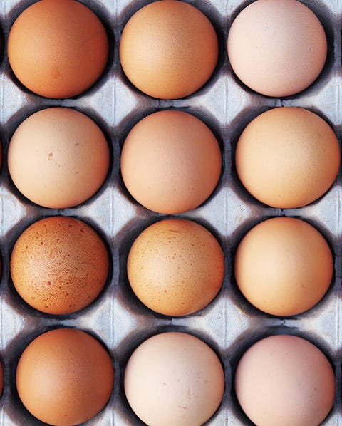 Brown eggs in carton The 20 Greatest Fat-Burning Foods Ever in 2021