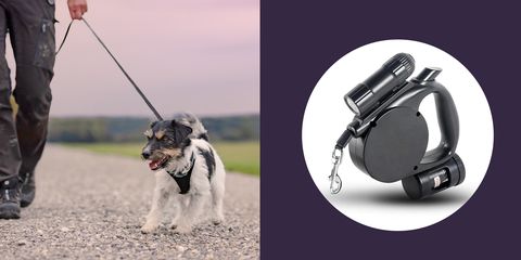 3-in-1 dog leash