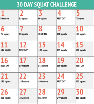 30 Day Challenge Squat 30 Day Challenge Squat