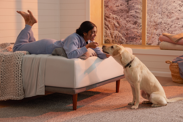 purple mattress