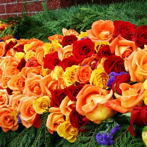 10 Best Flower Festivals In The U S