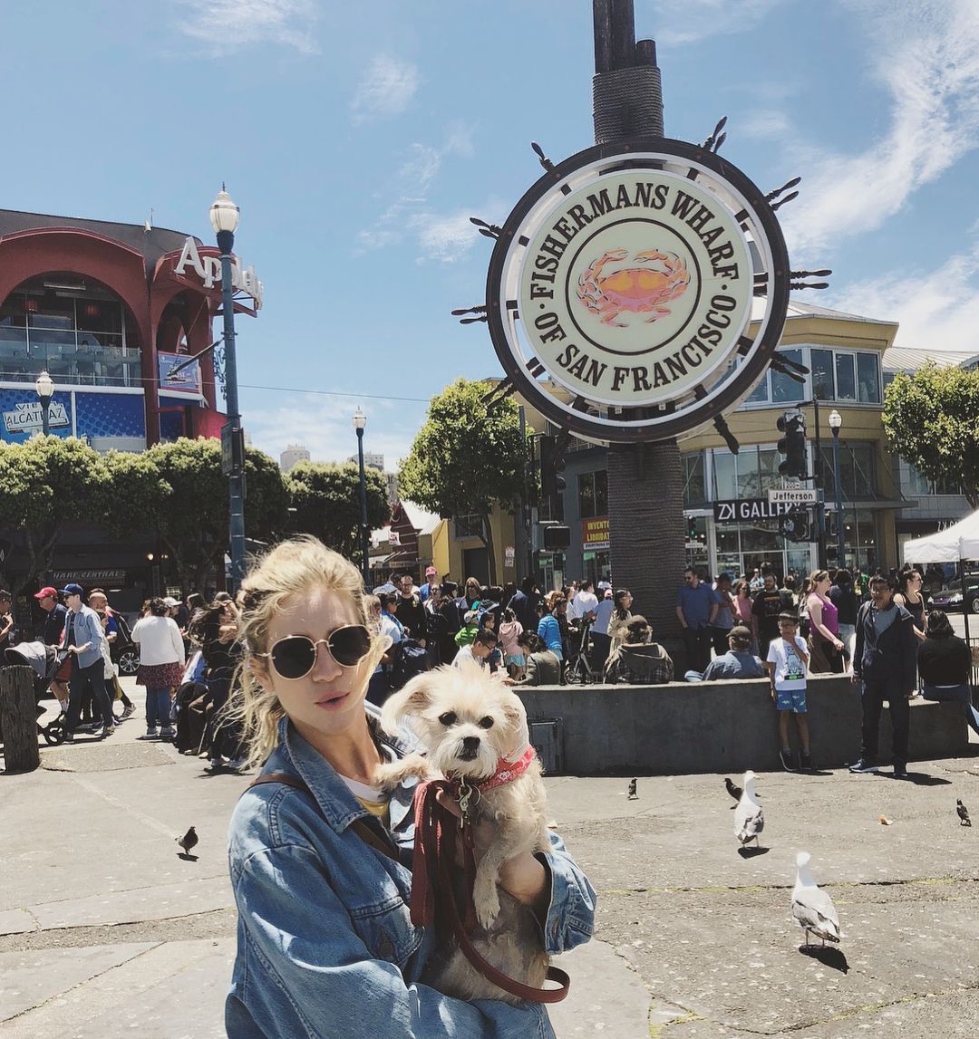 Brittany Snow S Dog Billie Pets