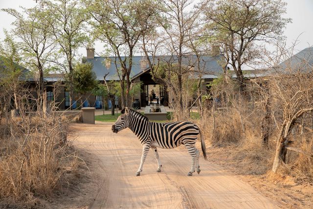 the farmstead at royal malewane, in the thornybush private game reserve, south africa