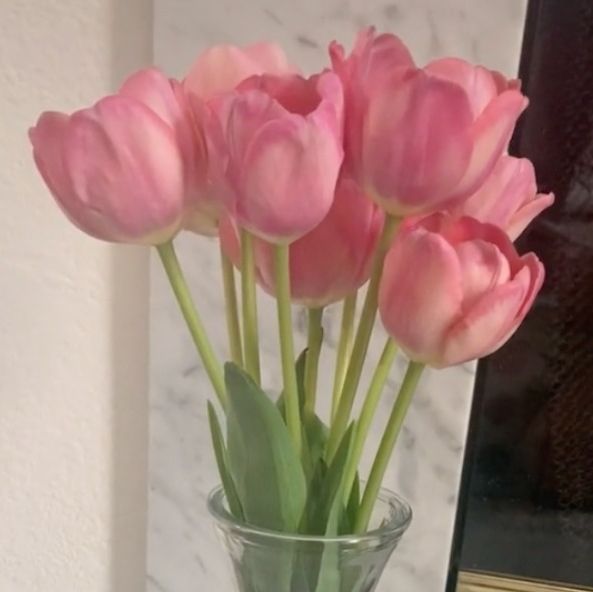 This Really Simple Hack Will Make Your Tulips Stand Up Straight