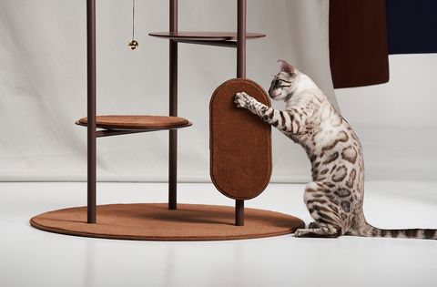 engineering uitzetten overdrijven Katten krabben meubels krabpalen - Met deze design-krabpaal maak je iedere  kattenliefhebber blij