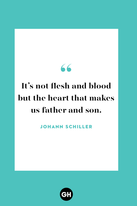 stepdad quotes johann schiller