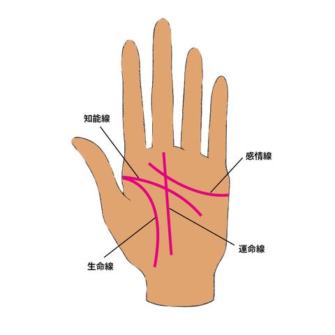 二重の人は生命力が強い 手相家に聞いた 生命線 について知っておきたいこと