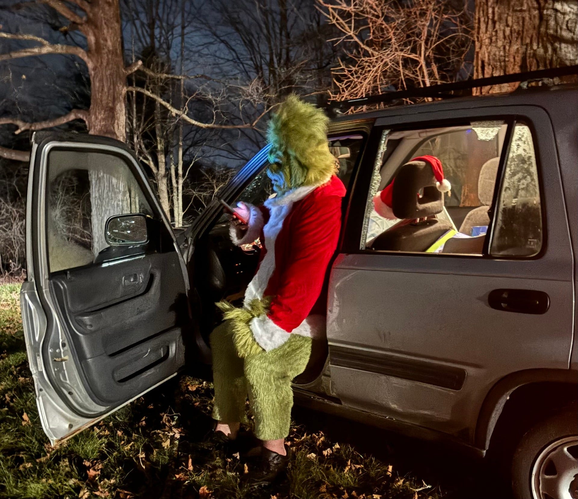 Man Dressed as Grinch Crashes Car on Christmas Night