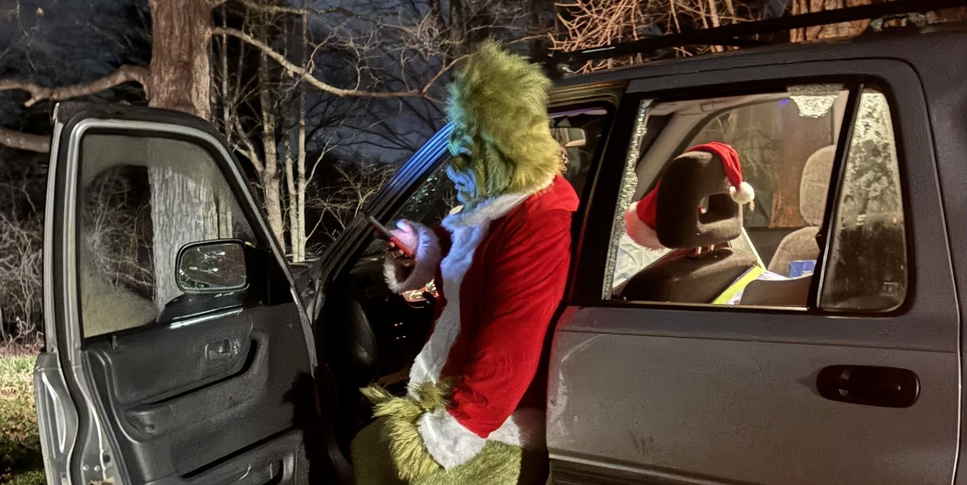 Man Dressed as Grinch Crashes Car on Christmas Night