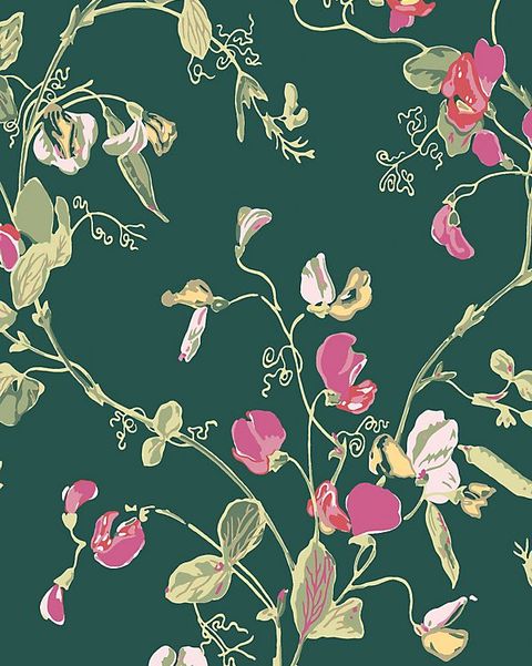 Beautiful bold wallpaper to liven up any room