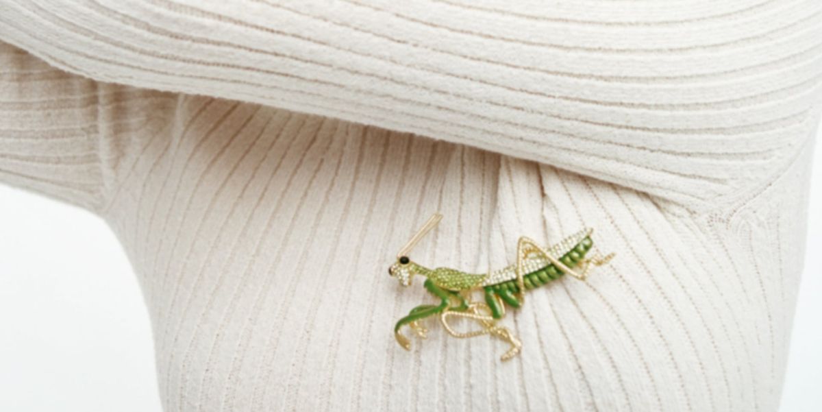 Una mantis, una rana, una libélula y una hormiga: los broches exóticos XL  son, para Zara, los nuevos pendientes