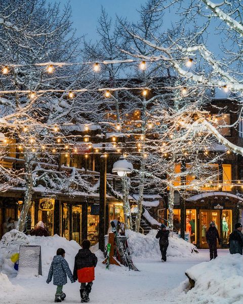 Snow, Winter, Tree, Freezing, Sky, Lighting, Branch, Architecture, Ice, Leisure, 