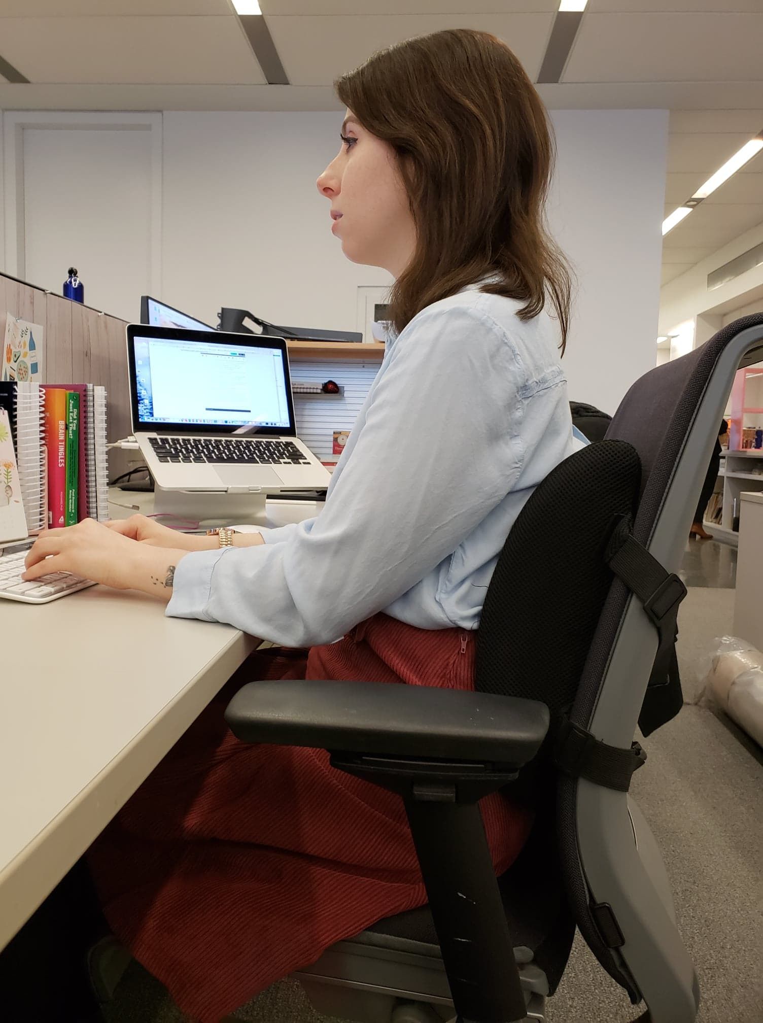 lumbar desk chair pillow
