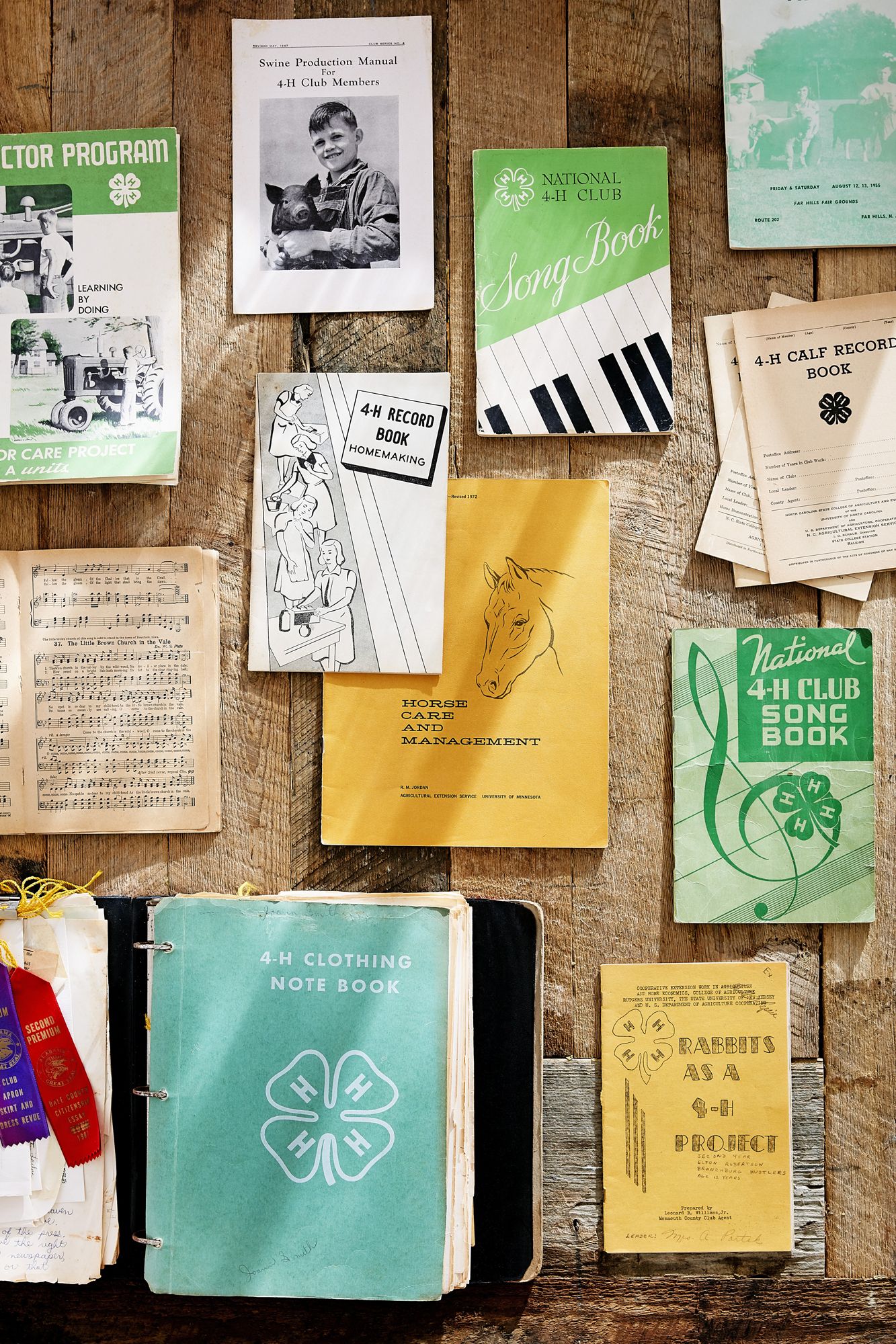 4 h club meaning 4 h club history 4h meaning