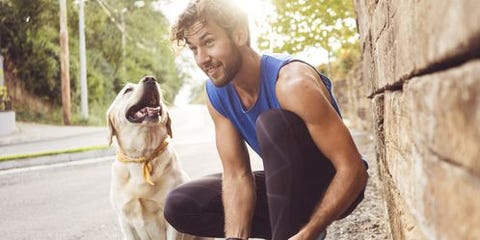 8匹の素晴らしい英雄犬たち 彼らの活躍をここで称えます