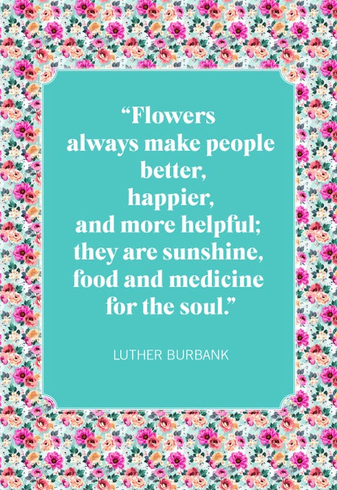 35 Inspirational Flower Quotes Best Quotes About Flowers