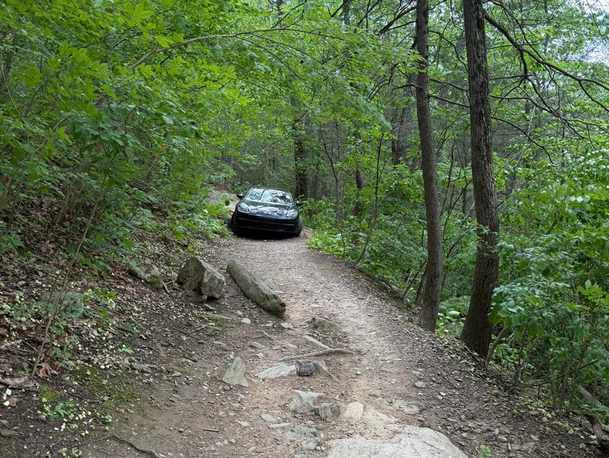 Hikers Discover Porsche Panamera Mysteriously Blocking Trail in the Middle of the Woods