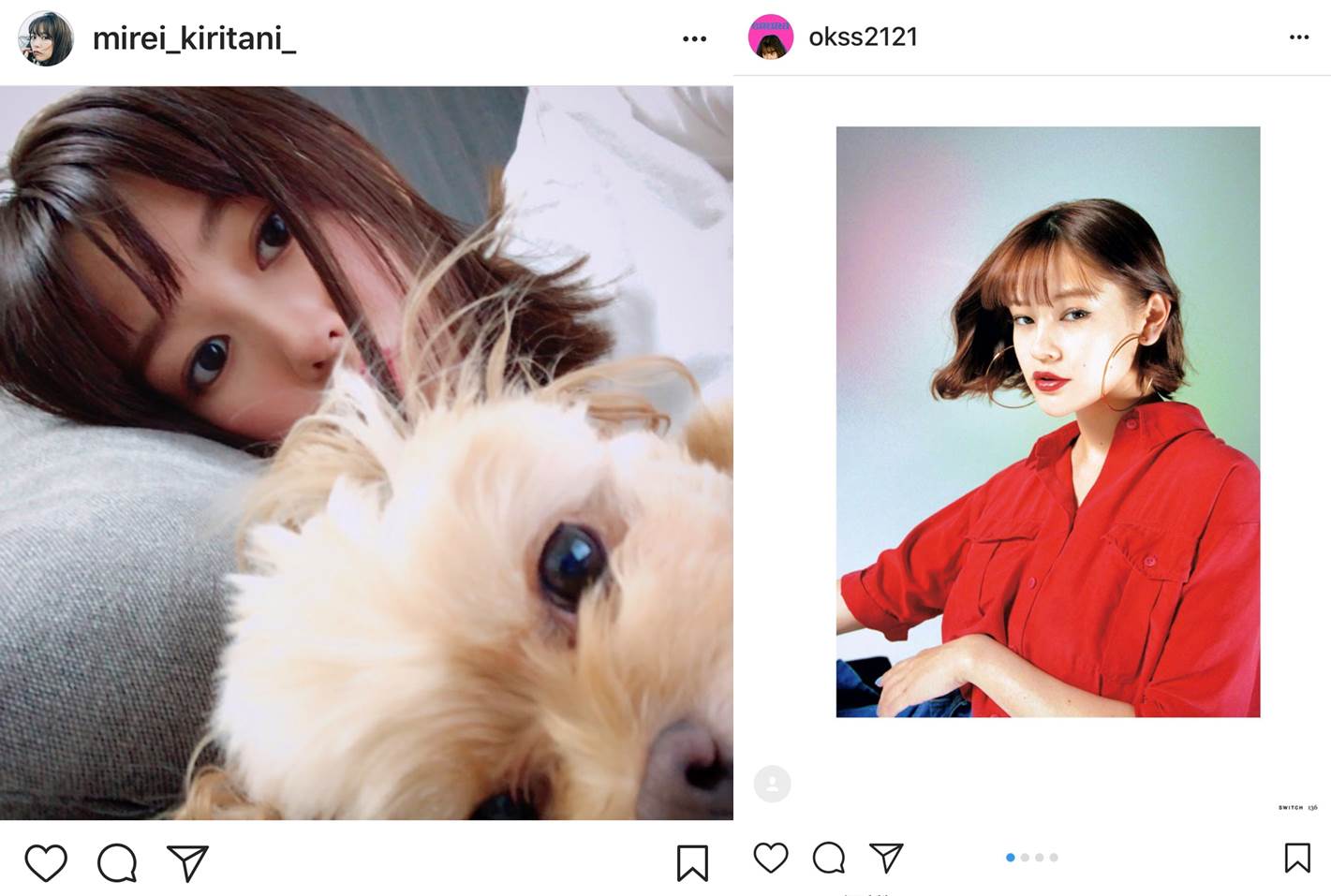 what breed dog does exid junghwa have