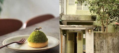 Green, House, Home, Architecture, Plant, Building, Moss, Dessert, Houseplant, 
