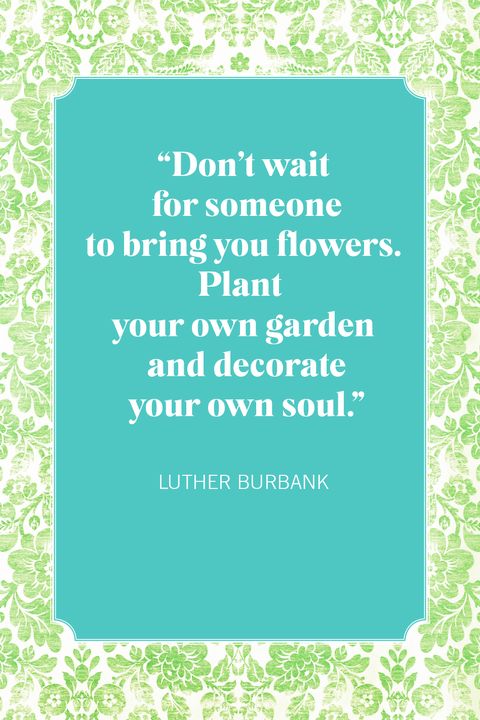35 Inspirational Flower Quotes Best Quotes About Flowers