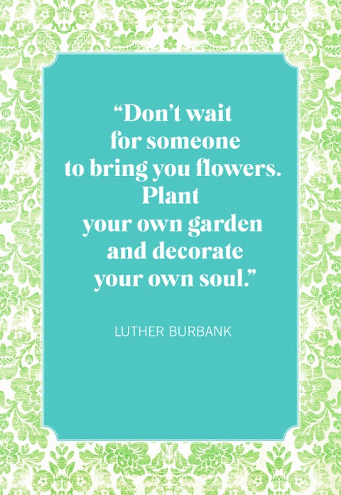 35 Inspirational Flower Quotes Best Quotes About Flowers