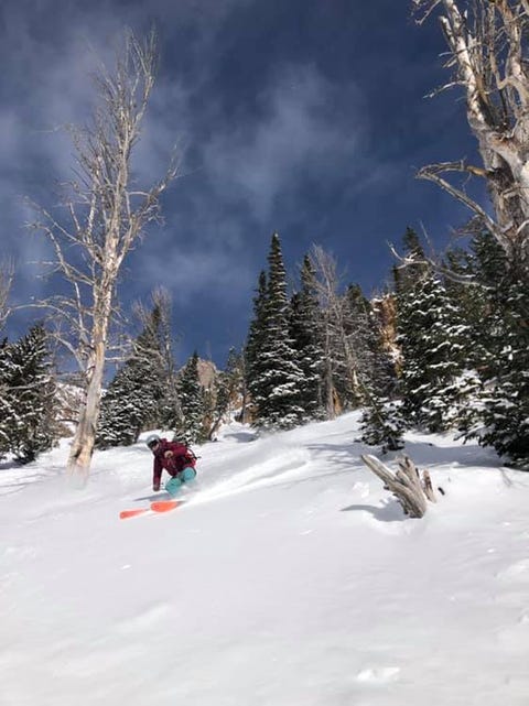 the author skiing jackson hole's secret stash