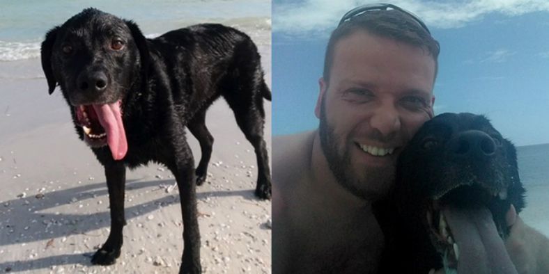 愛犬とのビーチ遊びは超危険 元気だった6歳のo G が急逝した理由