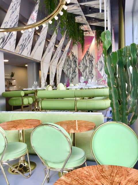 Green, Room, Interior design, Turquoise, Furniture, Table, Houseplant, Plant, Flower, Chair, 