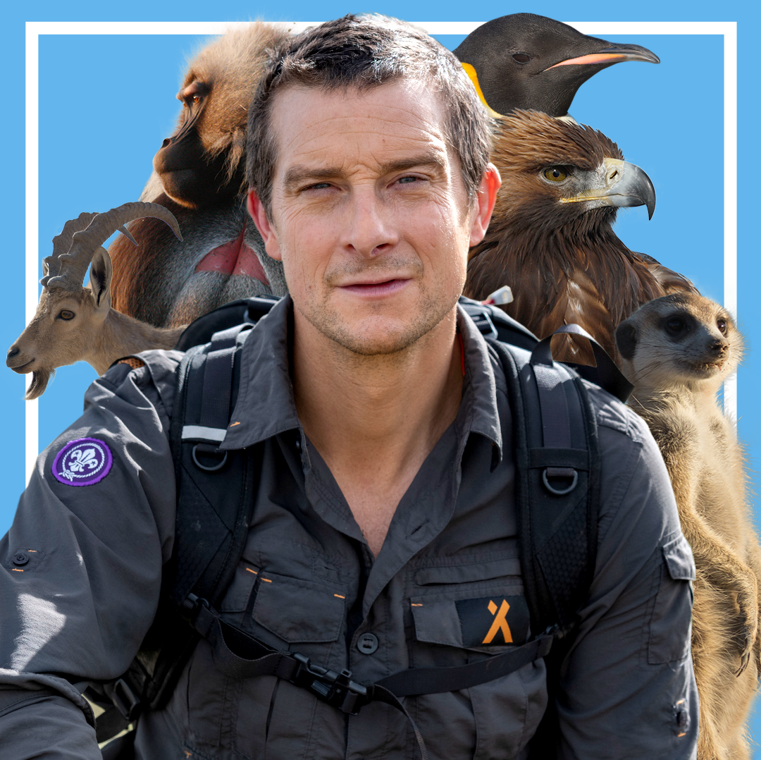 Bear Grylls Talks Hostile Planet His New National Geographic Show And Climate Change Threat