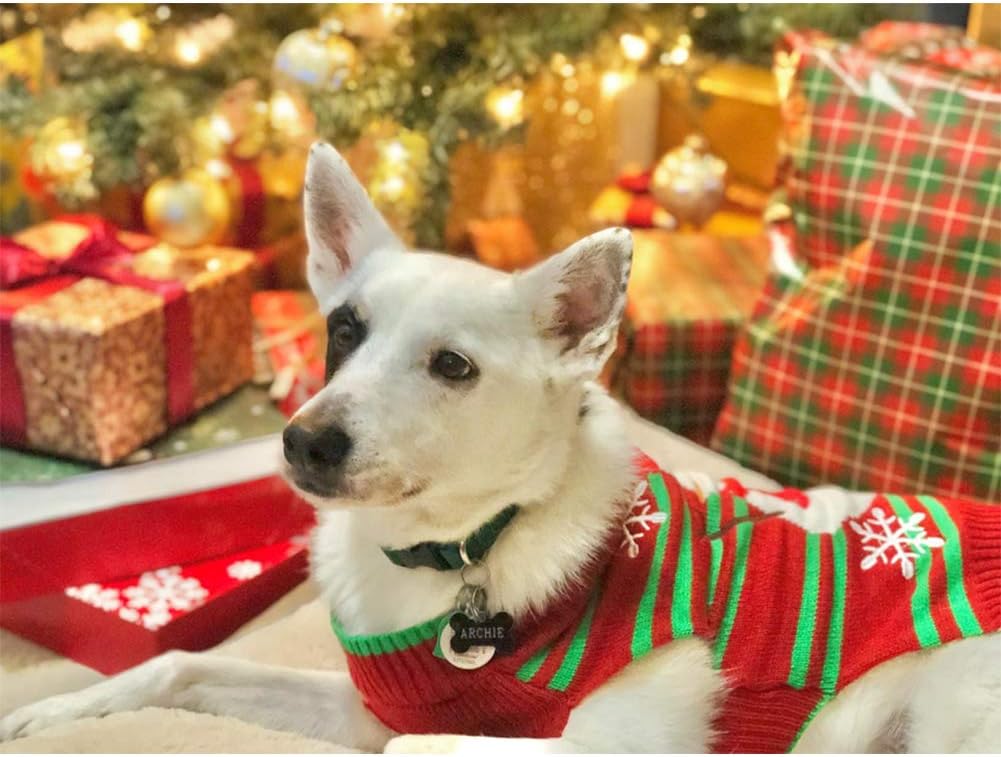 Your Pup Needs One of These Adorable Christmas Sweaters from Amazon