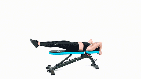 rebel workout bench